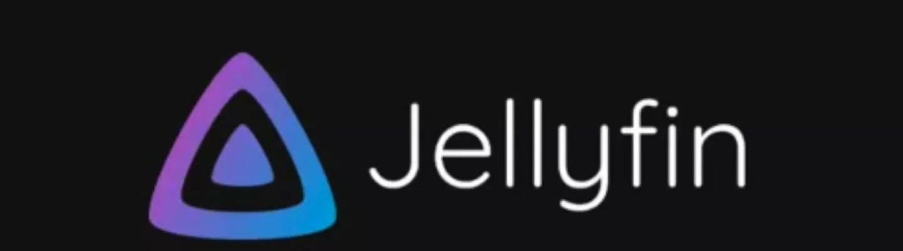 Unraid安装+Jellyfin影音服务器部署!让你一次入门Unraid NAS系统