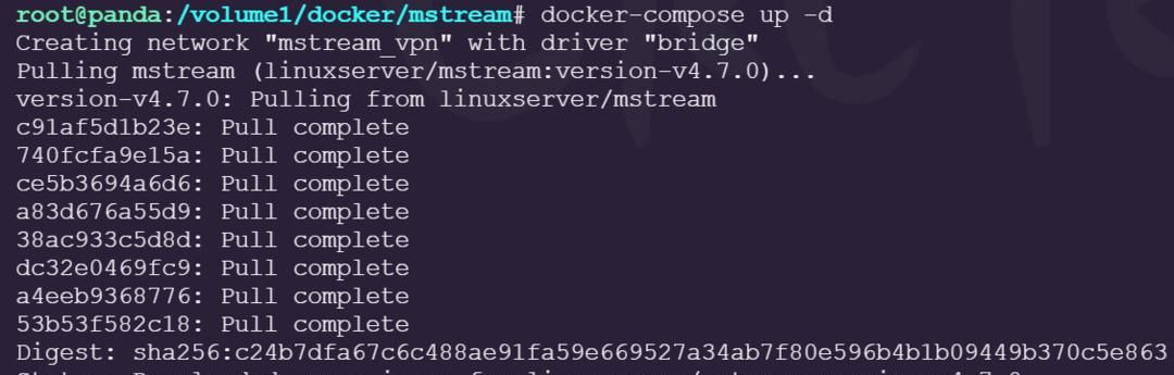 NAS原来这么有用：利用docker 一键部署mstream私人云音乐