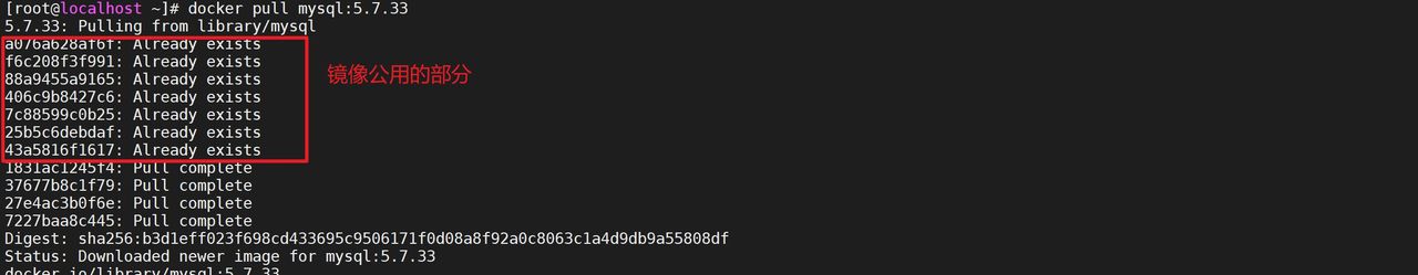 【步骤详解】Docker一键部署微服务详细教程