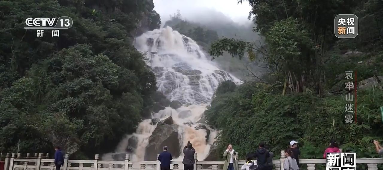 新闻调查丨想你的风吹到了哀牢山 这是一座怎样的山？