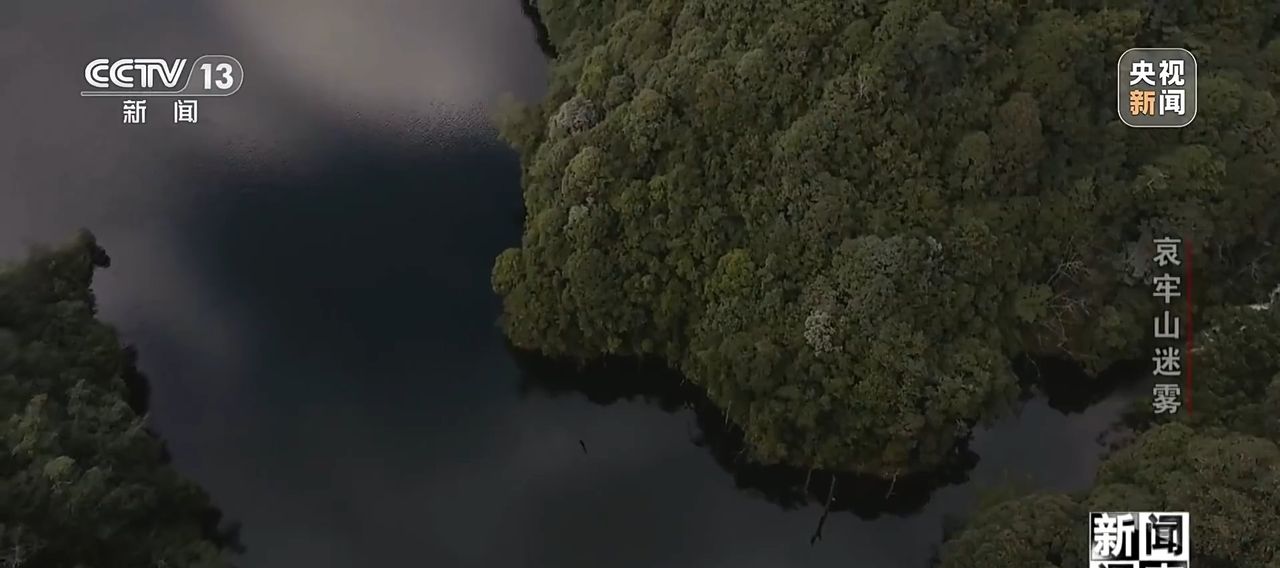 新闻调查丨想你的风吹到了哀牢山 这是一座怎样的山？