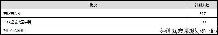 全国唯一以推拿命名的学校——河南推拿职业学院