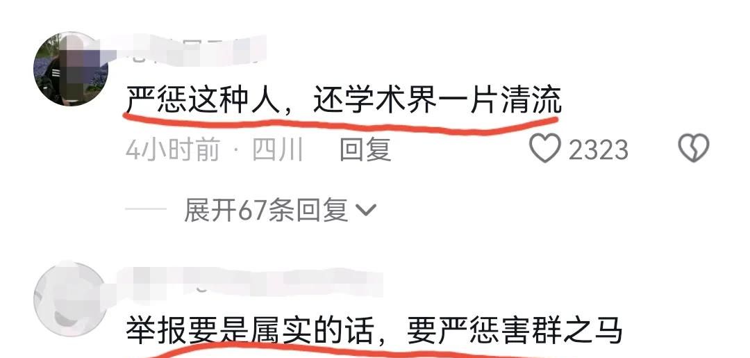 65岁老教授猥亵女博士后续，细节辣眼，胡锡进锐评，评论区炸锅