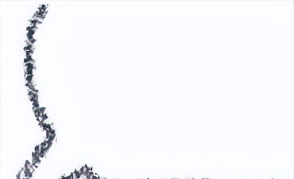 如何查询案件信息，请看这份指南！