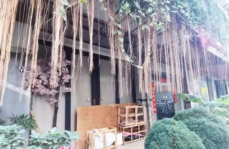 司法拍卖｜新春第一拍来啦！