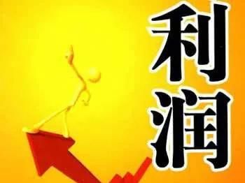 公司法人和股东的风险