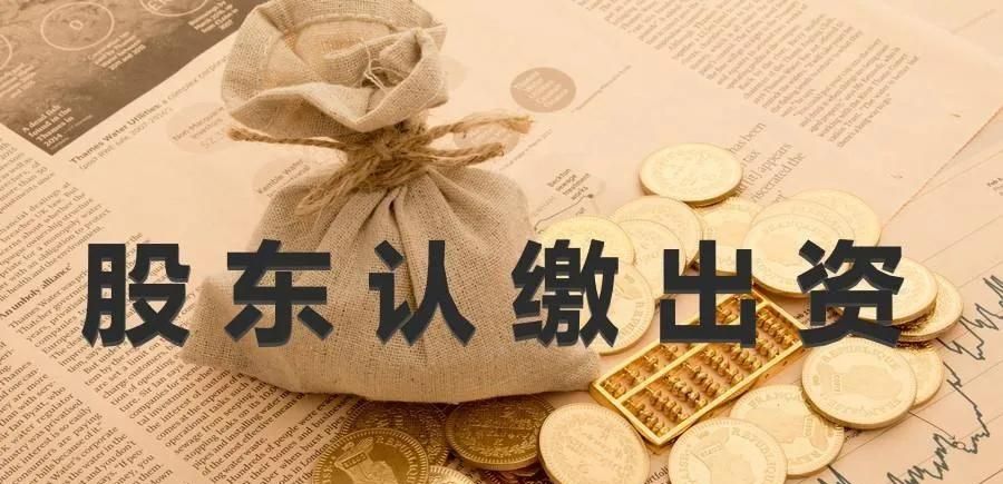 公司法人和股东的风险