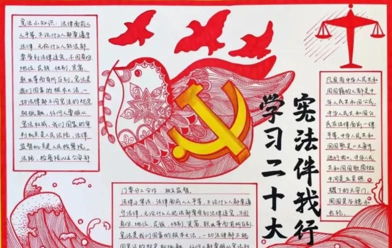 53张宪法手抄报合集：成长路上与法同行，一起学法守法！