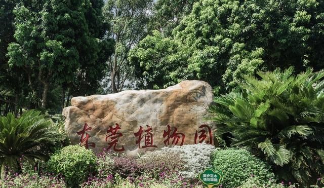 广东东莞旅游必去十大景点