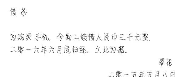 二娃教你怎么写具有法律效力的借条