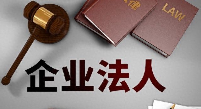 法人和法定代表人，看似相近实则差异大，你了解吗？ - 宋马