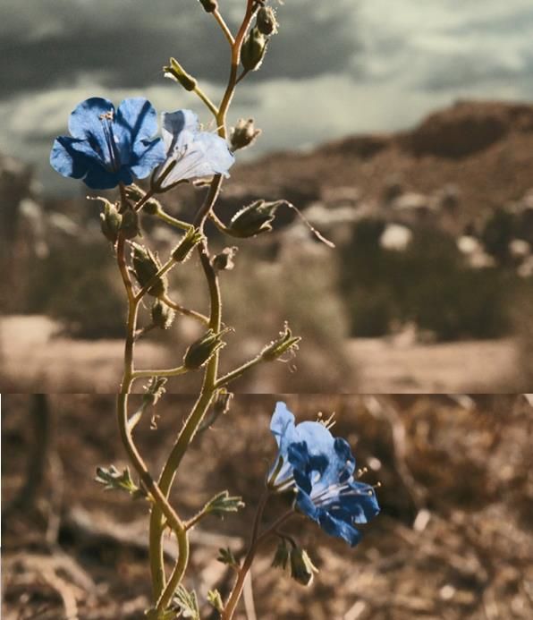 ​《风骚律师》S6E3：我自横刀向天笑