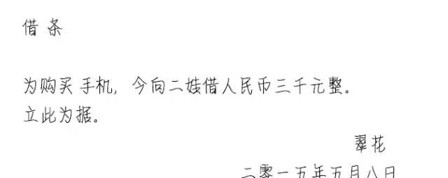 二娃教你怎么写具有法律效力的借条