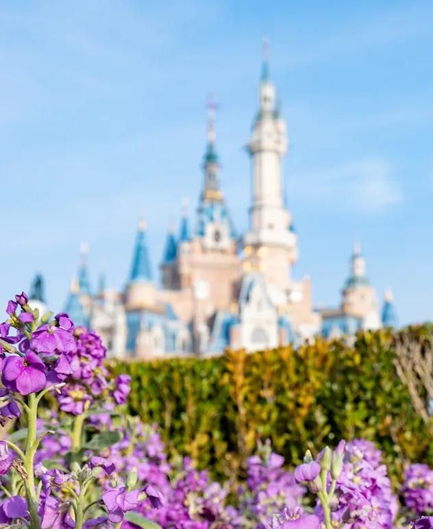 春游正当时，快来沪上这些地方游园、赏花吧！