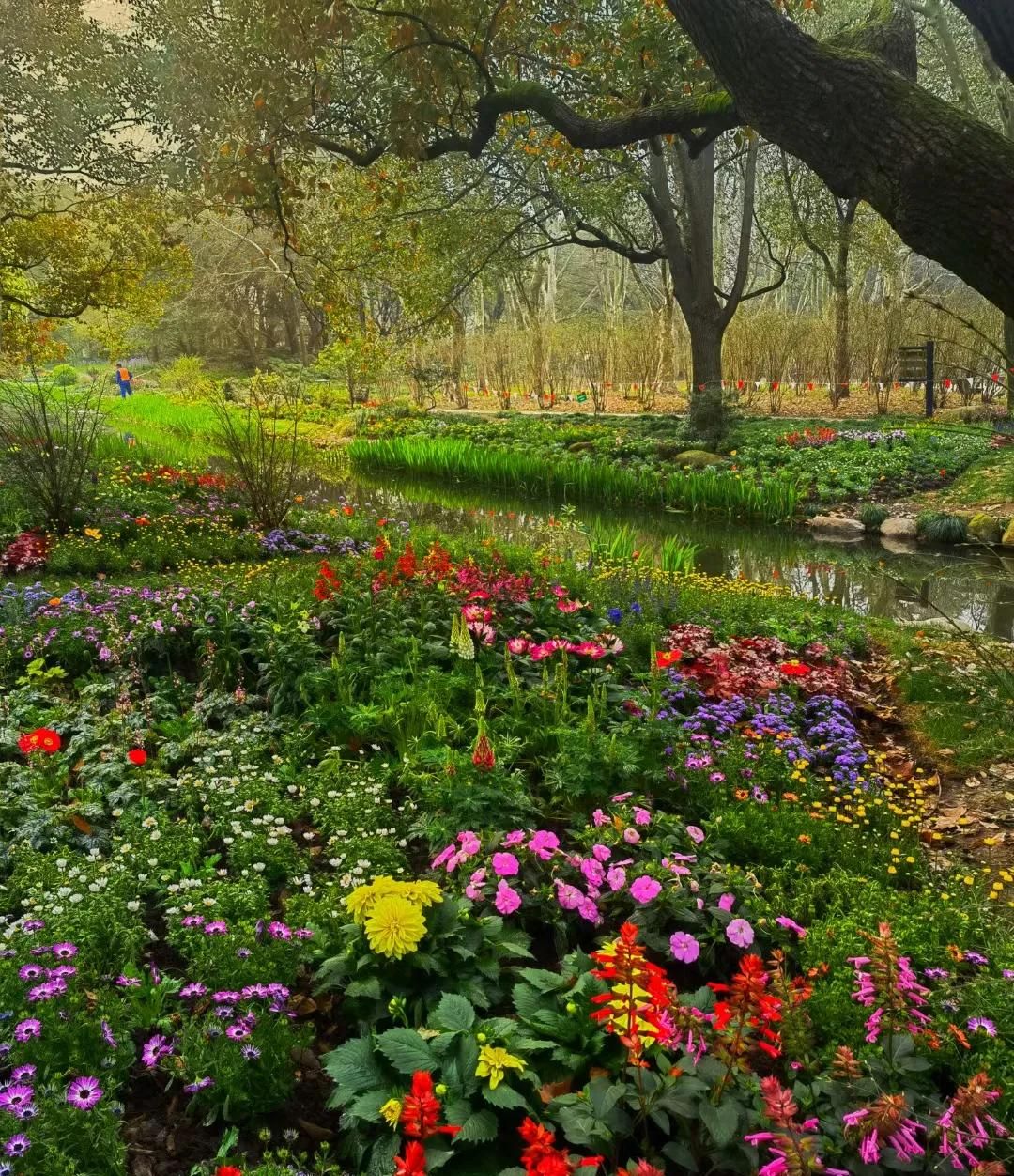 春游正当时，快来沪上这些地方游园、赏花吧！