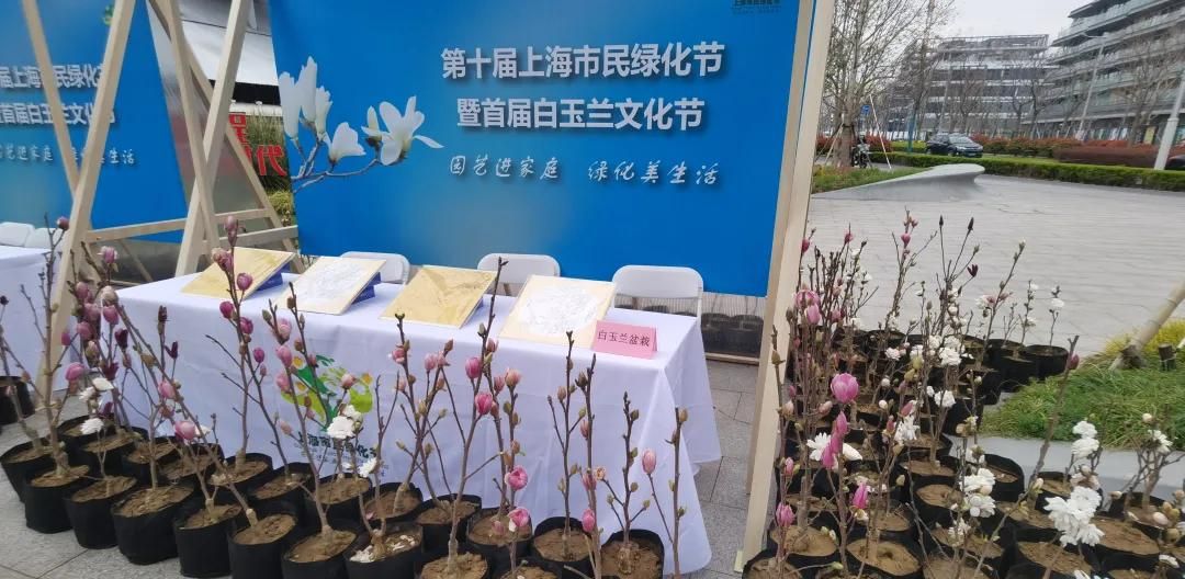 春游正当时，快来沪上这些地方游园、赏花吧！