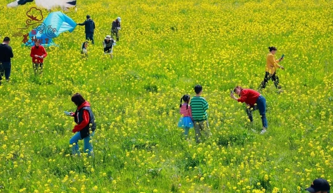 春游正当时，快来沪上这些地方游园、赏花吧！