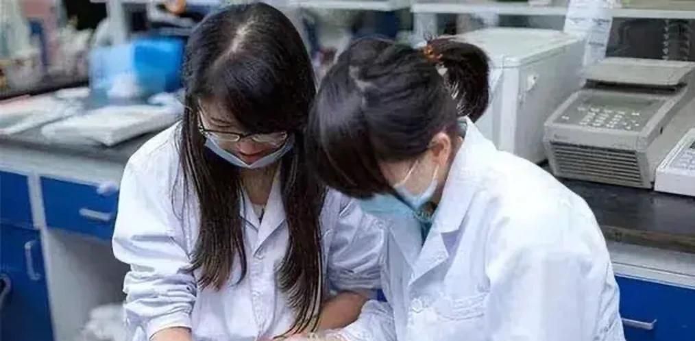6大类热门专业就业前景如何？超全解析来了！