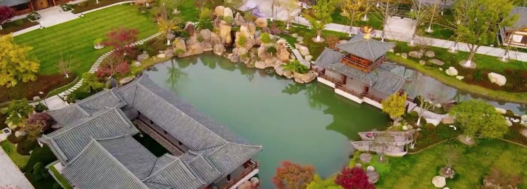 游灯会、访古寺、选年花，宝山邀您体味传统年味~ | 爱申活暖心春