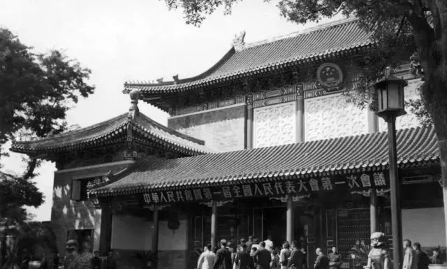 国家宪法日！看西湖学子这样学“宪”