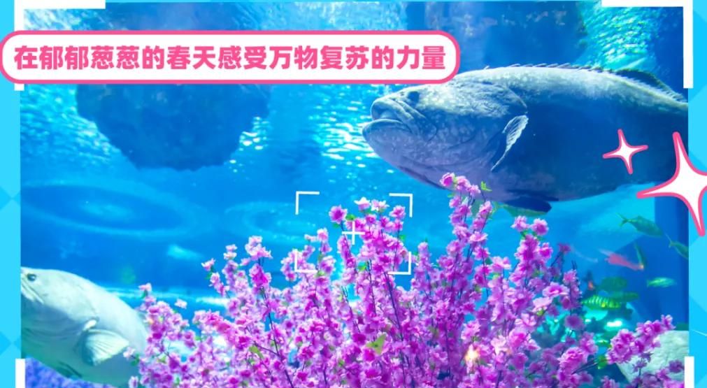 春游正当时，快来沪上这些地方游园、赏花吧！