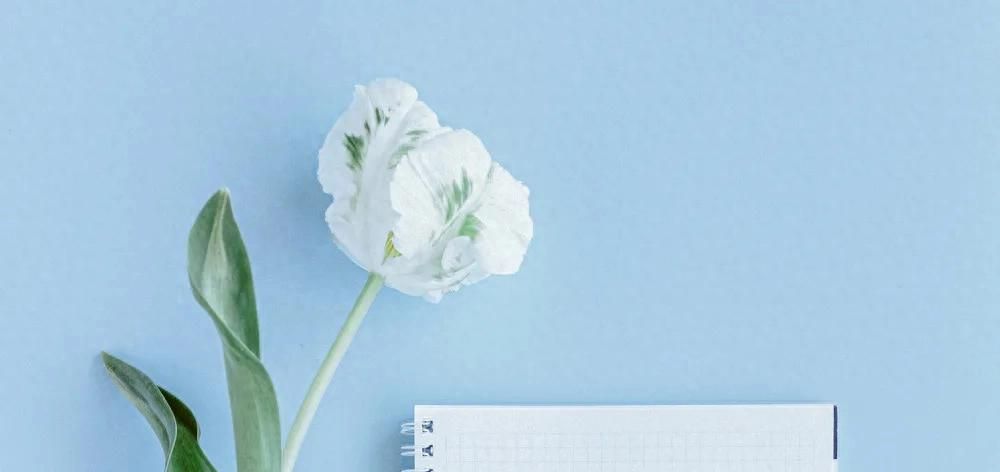 【华研法硕法考】法硕就业前景 - 宋马