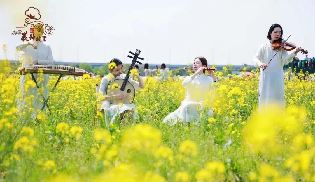 春游正当时，快来沪上这些地方游园、赏花吧！