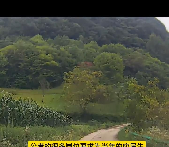公务员最容易上岸的专业:计算机、法律。
