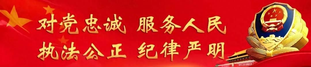 春节返程 公安交管部门发布安全出行提示|两公布一提示 - 宋马