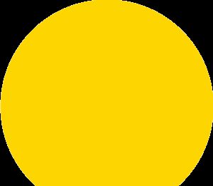 国家宪法日！看西湖学子这样学“宪”