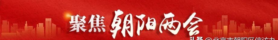 一图读懂朝阳区人大常委会工作报告 - 宋马