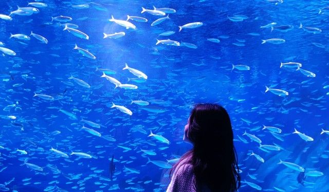 上海最值得去的10个景点，你去过几个？