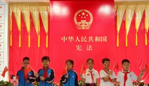 国家宪法日！看西湖学子这样学“宪”