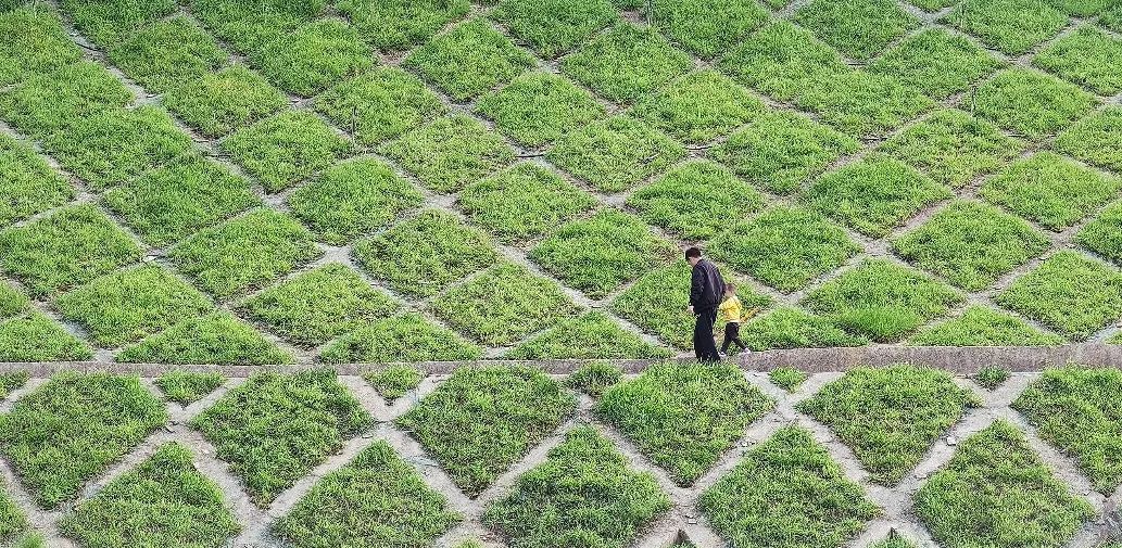 天堑变通途——公路铁路上的地质灾害与防治