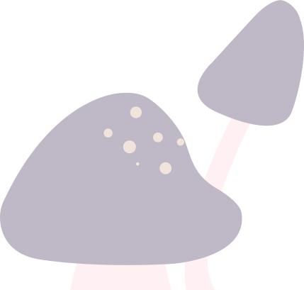 宪法宣传日丨“宪”给你，一生最好的守护