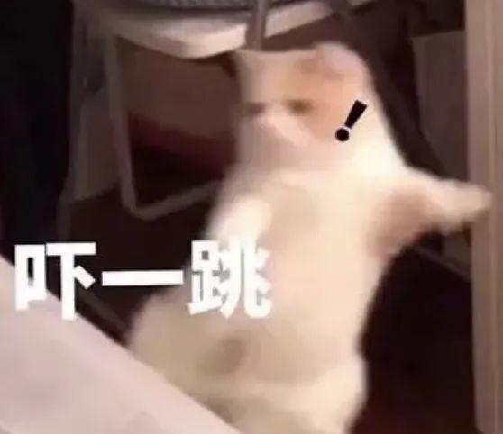 路口未按导向行驶 两车碰撞酿事故 | 平安春运 交警同行