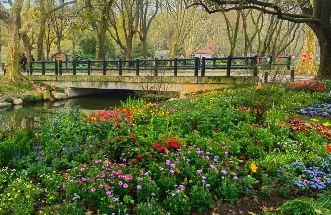 春游正当时，快来沪上这些地方游园、赏花吧！