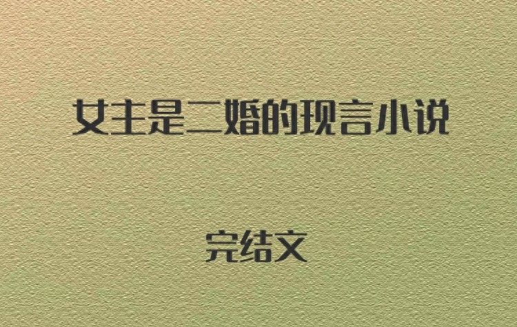 4本女主是二婚的现言小说，自由职业老板娘vs精英律师打工人 - 宋马