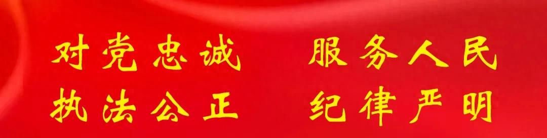 “任性”上路，这些违法行为看看都有谁？ - 宋马