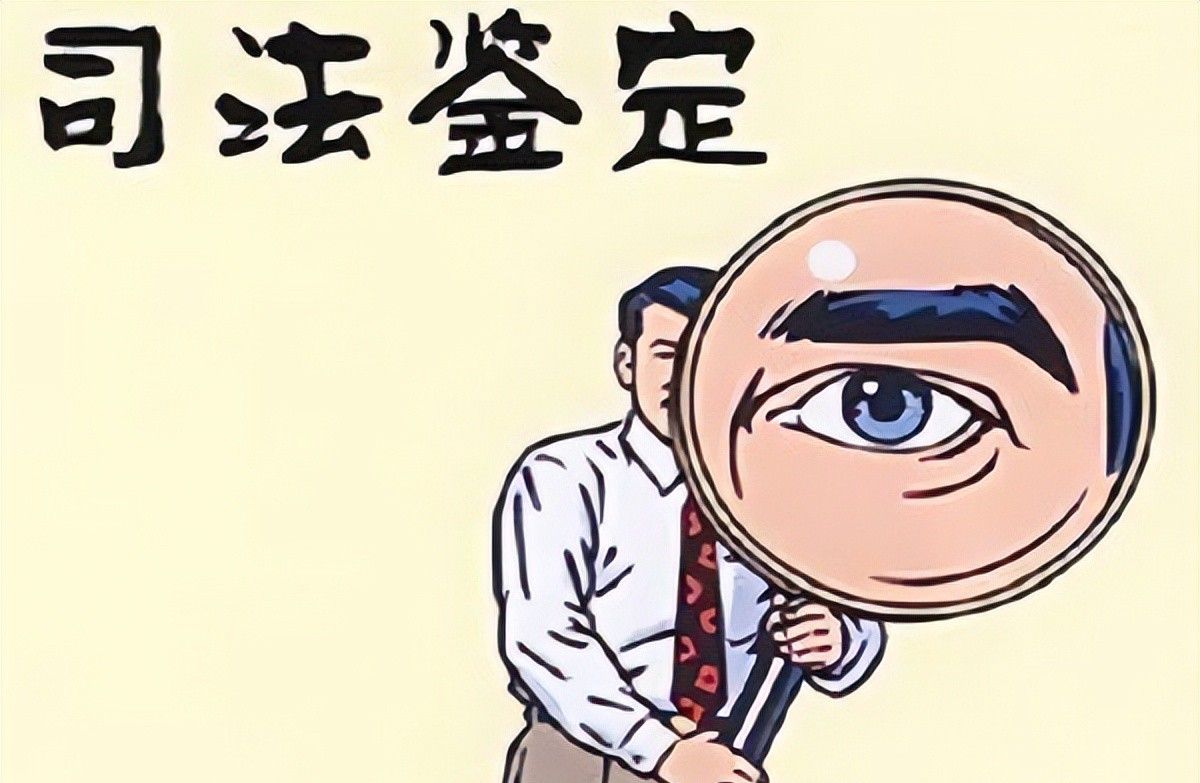 唬法纪：申请法院司法鉴定，如不注意这些，将会被驳回 - 宋马