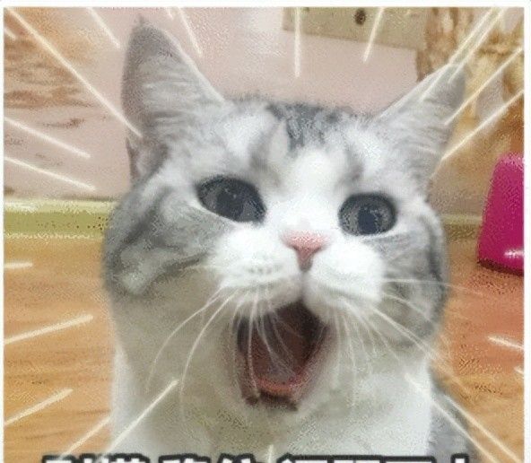 23年哪种法律人最吃香?热门盘点来啦 - 宋马