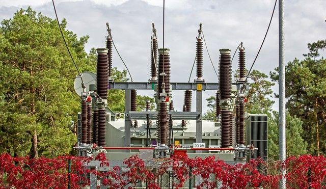 电力保护区内栽树，电力公司有权对危及安全的树木砍伐并不予补偿 - 宋马