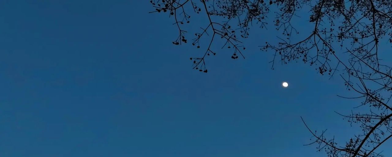 从法律角度解读“家庭成员”，你知道吗？