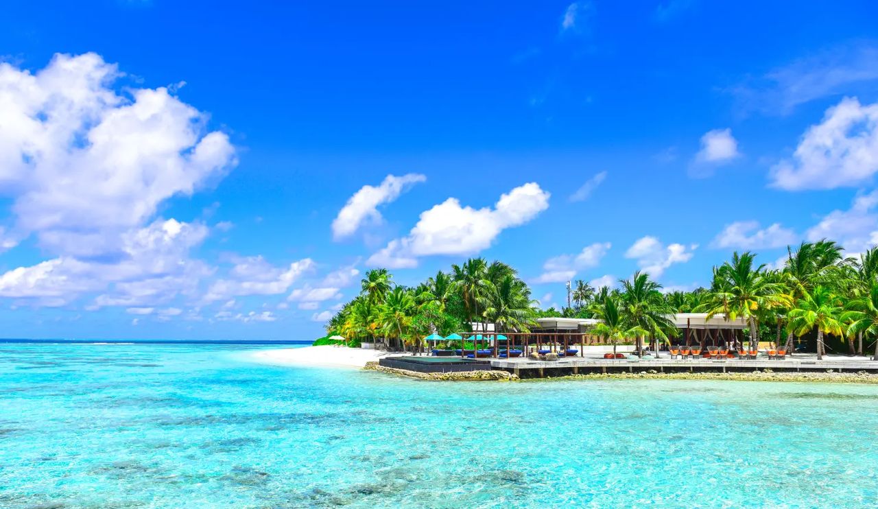 已注销的公司,其债权将如何主张? - 宋马