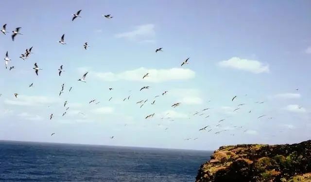 翁齐斌:《劳动合同法》劳动法律制度有关问题探讨 - 宋马