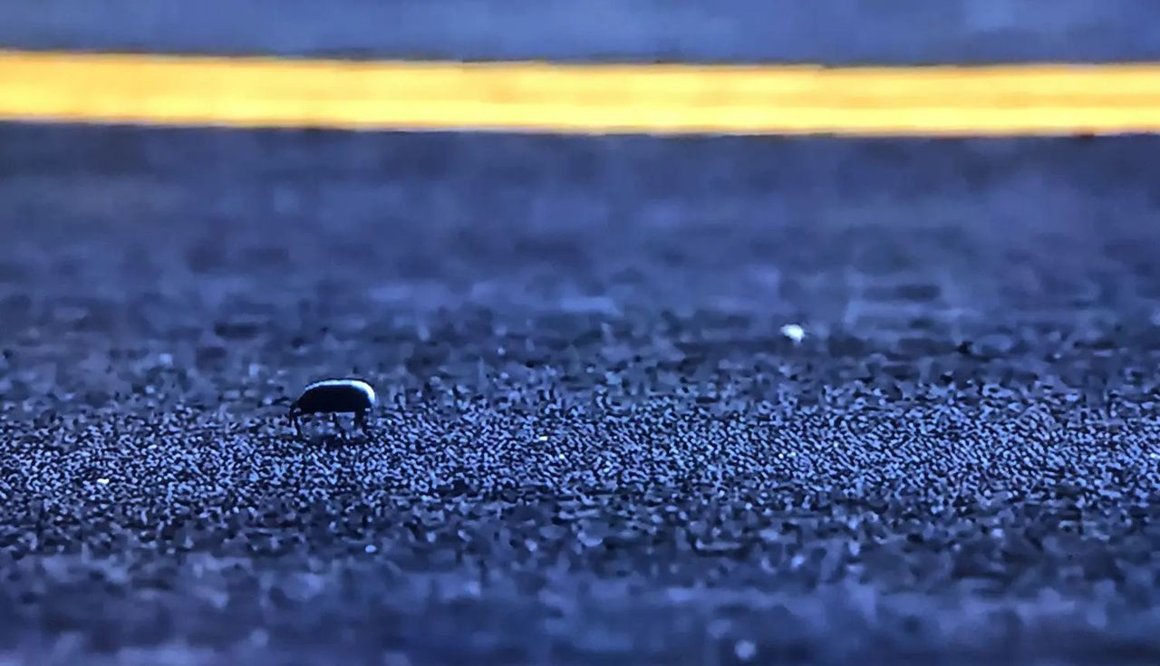 《风骚律师》观后