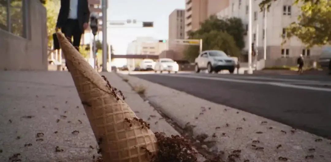 五星奉上，它是你绝对不能错过的完美剧集