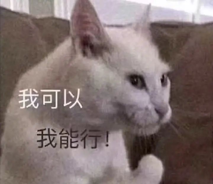 法猫言法：劳动合同法有用吗？