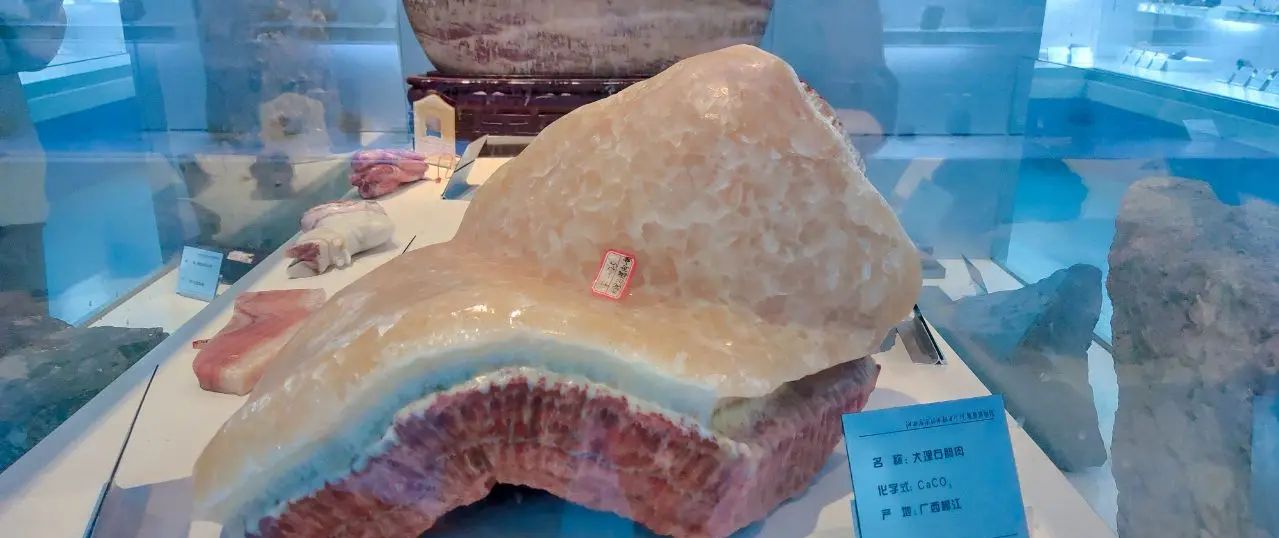 江西应用技术职业学院，地质博物馆岩石照片