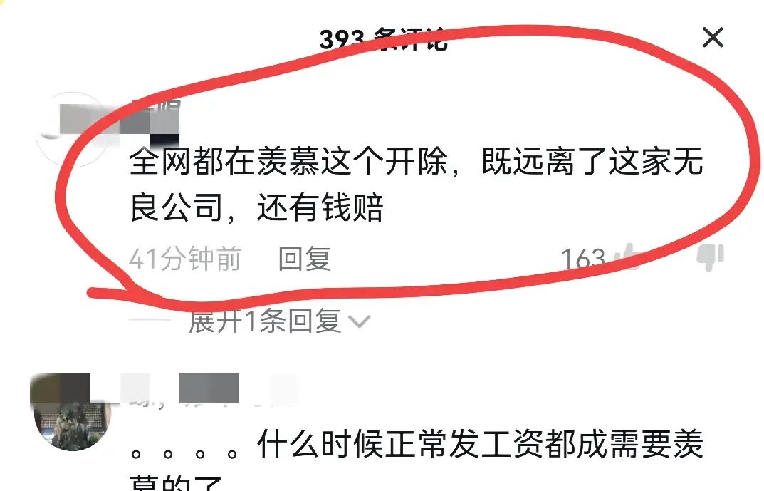 开除“羡慕按时发薪”员工的公司到底有哪些错? - 宋马